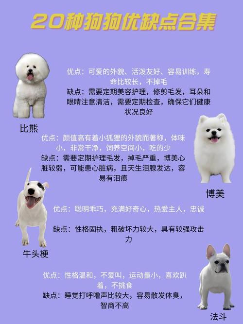 什么狗狗适合家养_什么狗狗适合家庭饲养-第6张图片-后鲨宠物 什么狗狗适合家养_什么狗狗适合家庭饲养-第6张图片-后鲨宠物