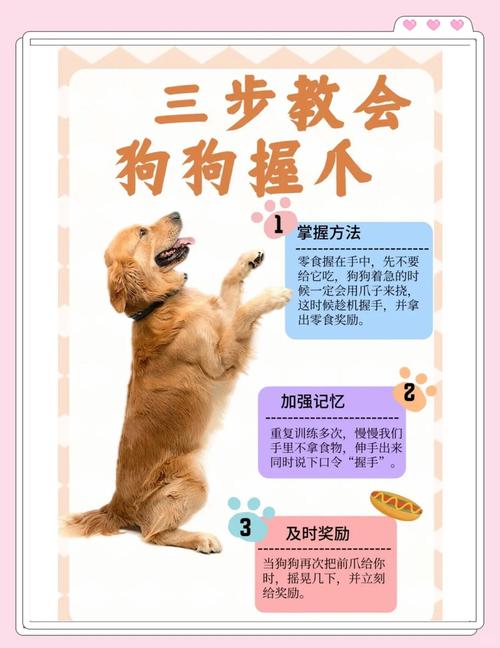 怎么教会狗狗握手,如何快速教会狗狗握手-第1张图片-后鲨宠物 怎么教会狗狗握手,如何快速教会狗狗握手-第1张图片-后鲨宠物