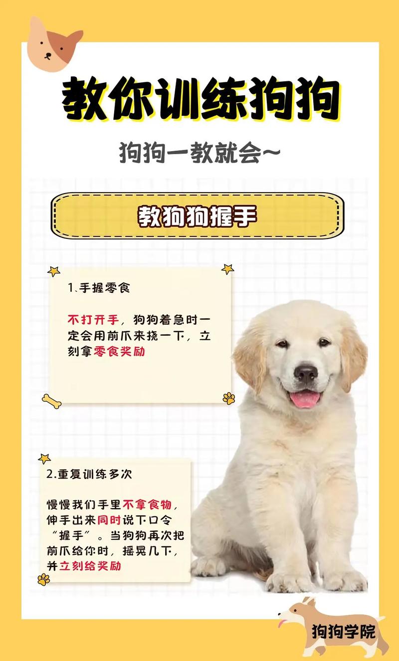 怎么教会狗狗握手,如何快速教会狗狗握手-第5张图片-后鲨宠物 怎么教会狗狗握手,如何快速教会狗狗握手-第5张图片-后鲨宠物