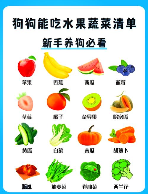 狗狗能吃青豆吗_小狗能吃青豆吗-第2张图片-后鲨宠物 狗狗能吃青豆吗_小狗能吃青豆吗-第2张图片-后鲨宠物