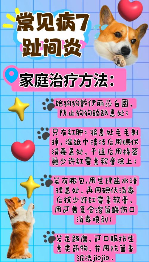 狗狗脚趾炎初期症状_狗狗脚趾炎用什么药最快-第2张图片-后鲨宠物