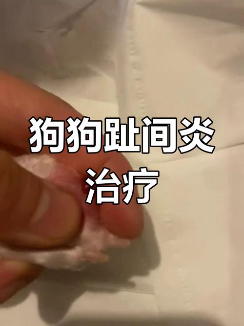 狗狗脚趾炎初期症状_狗狗脚趾炎用什么药最快-第3张图片-后鲨宠物