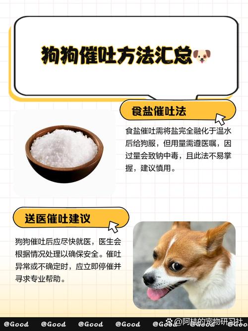 怎么给狗狗催吐_怎么给狗狗催吐视频-第1张图片-后鲨宠物 怎么给狗狗催吐_怎么给狗狗催吐视频-第1张图片-后鲨宠物