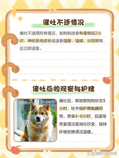 怎么给狗狗催吐_怎么给狗狗催吐视频-第2张图片-后鲨宠物 怎么给狗狗催吐_怎么给狗狗催吐视频-第2张图片-后鲨宠物