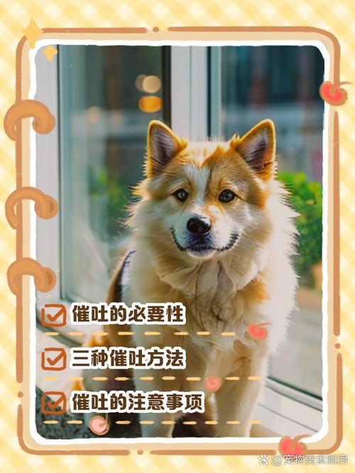 怎么给狗狗催吐_怎么给狗狗催吐视频-第4张图片-后鲨宠物 怎么给狗狗催吐_怎么给狗狗催吐视频-第4张图片-后鲨宠物