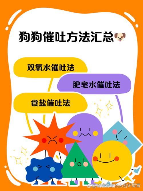 怎么给狗狗催吐_怎么给狗狗催吐视频-第6张图片-后鲨宠物 怎么给狗狗催吐_怎么给狗狗催吐视频-第6张图片-后鲨宠物