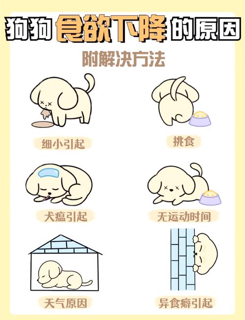 狗狗不爱吃饭怎么回事,狗不爱吃饭咋回事-第1张图片-后鲨宠物 狗狗不爱吃饭怎么回事,狗不爱吃饭咋回事-第1张图片-后鲨宠物