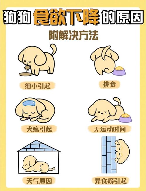 狗狗不爱吃饭怎么回事,狗不爱吃饭咋回事-第2张图片-后鲨宠物 狗狗不爱吃饭怎么回事,狗不爱吃饭咋回事-第2张图片-后鲨宠物