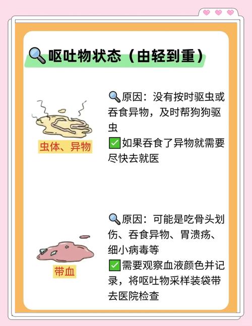 狗狗不爱吃饭怎么回事,狗不爱吃饭咋回事-第3张图片-后鲨宠物 狗狗不爱吃饭怎么回事,狗不爱吃饭咋回事-第3张图片-后鲨宠物