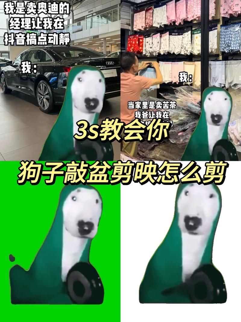 怎么教狗狗拿东西_怎么教狗狗拿东西不咬人-第1张图片-后鲨宠物 怎么教狗狗拿东西_怎么教狗狗拿东西不咬人-第1张图片-后鲨宠物