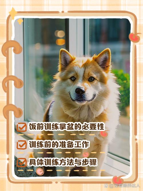 怎么教狗狗拿东西_怎么教狗狗拿东西不咬人-第2张图片-后鲨宠物 怎么教狗狗拿东西_怎么教狗狗拿东西不咬人-第2张图片-后鲨宠物