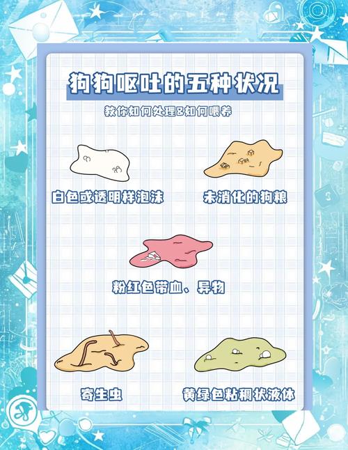 狗狗恶心干呕怎么办,狗狗恶心干呕怎么办啊?-第4张图片-后鲨宠物 狗狗恶心干呕怎么办,狗狗恶心干呕怎么办啊?-第4张图片-后鲨宠物