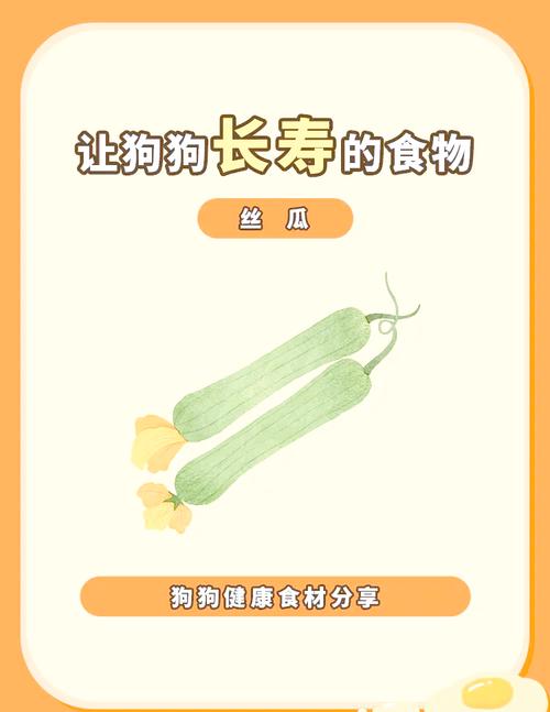 狗狗能吃丝瓜吗,狗狗能吃丝瓜吗为什么-第5张图片-后鲨宠物 狗狗能吃丝瓜吗,狗狗能吃丝瓜吗为什么-第5张图片-后鲨宠物