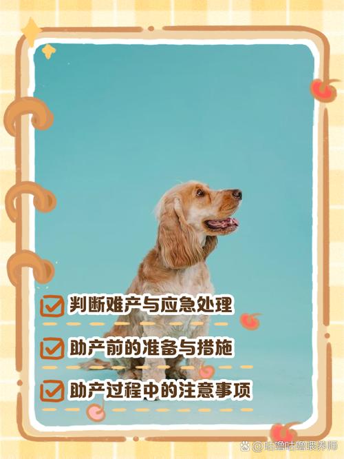 怎样帮狗狗助产_帮助狗狗生产的办法-第1张图片-后鲨宠物 怎样帮狗狗助产_帮助狗狗生产的办法-第1张图片-后鲨宠物