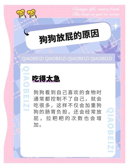 狗狗放屁拉稀怎么回事_狗狗老放屁拉稀-第6张图片-后鲨宠物 狗狗放屁拉稀怎么回事_狗狗老放屁拉稀-第6张图片-后鲨宠物