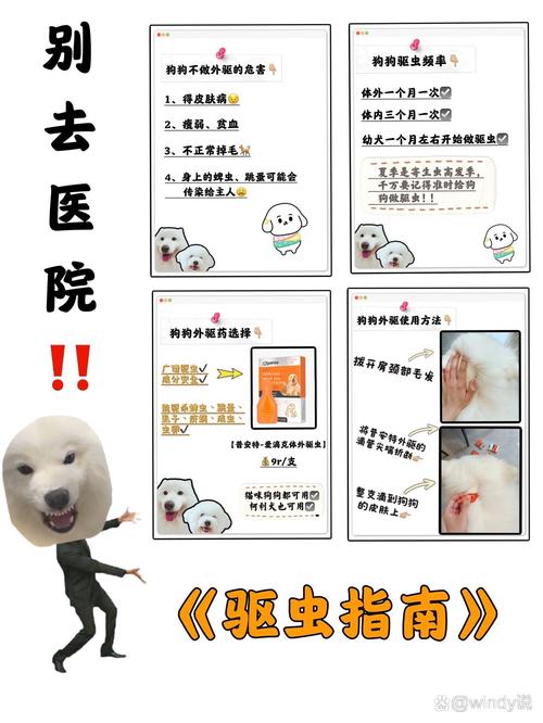 给狗狗驱虫多少钱,给狗狗驱虫要多少钱?-第3张图片-后鲨宠物 给狗狗驱虫多少钱,给狗狗驱虫要多少钱?-第3张图片-后鲨宠物