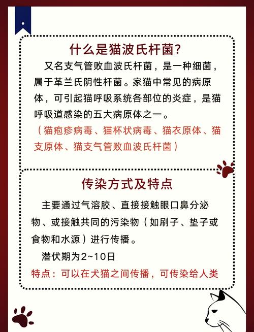 关于狗狗上呼吸道感染症状的信息-第1张图片-后鲨宠物 关于狗狗上呼吸道感染症状的信息-第1张图片-后鲨宠物