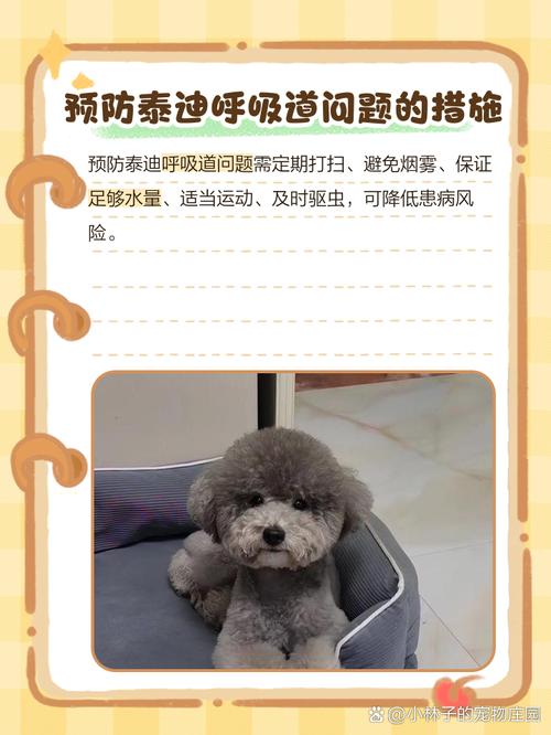 关于狗狗上呼吸道感染症状的信息-第3张图片-后鲨宠物 关于狗狗上呼吸道感染症状的信息-第3张图片-后鲨宠物