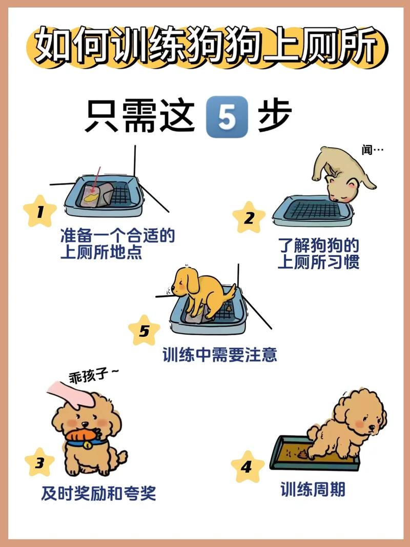 怎样教狗狗上厕所,怎样教狗狗上厕最简单-第5张图片-后鲨宠物 怎样教狗狗上厕所,怎样教狗狗上厕最简单-第5张图片-后鲨宠物