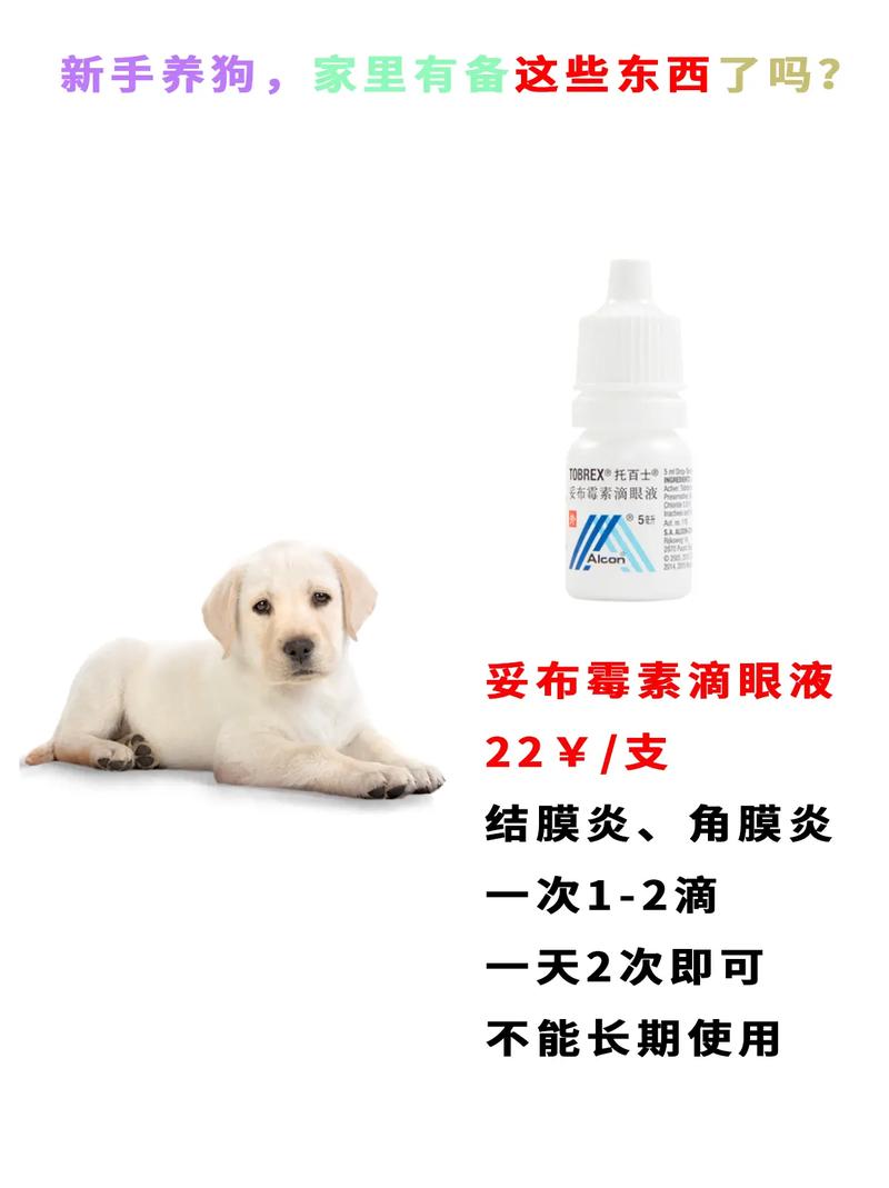 狗狗结膜炎用什么药_狗狗得了结膜炎用什么药-第3张图片-后鲨宠物 狗狗结膜炎用什么药_狗狗得了结膜炎用什么药-第3张图片-后鲨宠物
