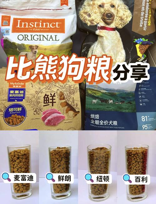 4个月狗狗吃多少狗粮,四个月小狗吃多少粒狗粮?-第3张图片-后鲨宠物 4个月狗狗吃多少狗粮,四个月小狗吃多少粒狗粮?-第3张图片-后鲨宠物