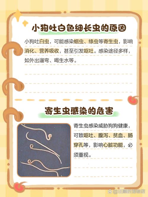 小狗狗吐虫子怎么回事,狗狗吐虫子怎么处理-第1张图片-后鲨宠物 小狗狗吐虫子怎么回事,狗狗吐虫子怎么处理-第1张图片-后鲨宠物