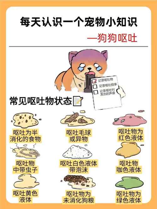 小狗狗吐虫子怎么回事,狗狗吐虫子怎么处理-第3张图片-后鲨宠物 小狗狗吐虫子怎么回事,狗狗吐虫子怎么处理-第3张图片-后鲨宠物