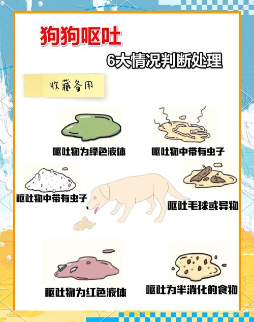 小狗狗吐虫子怎么回事,狗狗吐虫子怎么处理-第5张图片-后鲨宠物 小狗狗吐虫子怎么回事,狗狗吐虫子怎么处理-第5张图片-后鲨宠物