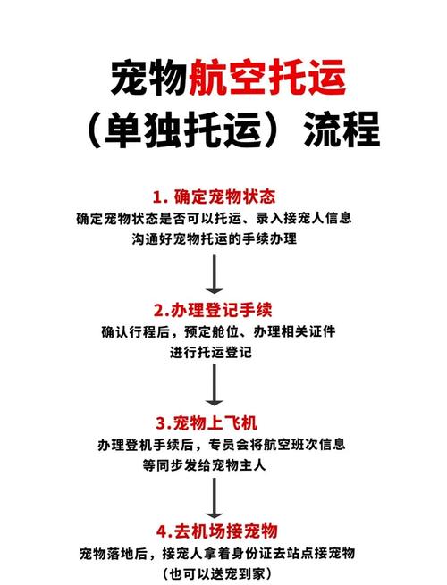 高铁可以托运狗狗吗,高铁可以托运狗狗走一趟车吗-第4张图片-后鲨宠物 高铁可以托运狗狗吗,高铁可以托运狗狗走一趟车吗-第4张图片-后鲨宠物