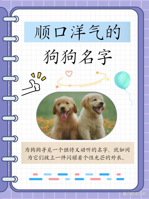 给狗狗起英文名_给狗狗起英文名翻译过来-第2张图片-后鲨宠物 给狗狗起英文名_给狗狗起英文名翻译过来-第2张图片-后鲨宠物