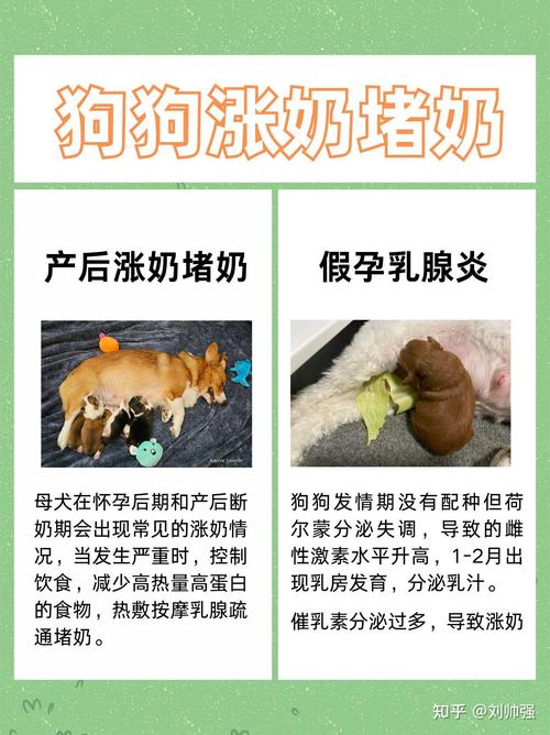 狗狗断奶后涨奶怎么办,狗断奶涨奶要几天会好-第4张图片-后鲨宠物 狗狗断奶后涨奶怎么办,狗断奶涨奶要几天会好-第4张图片-后鲨宠物