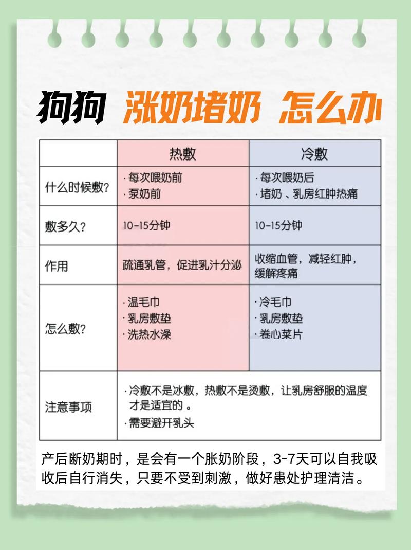 狗狗断奶后涨奶怎么办,狗断奶涨奶要几天会好-第5张图片-后鲨宠物 狗狗断奶后涨奶怎么办,狗断奶涨奶要几天会好-第5张图片-后鲨宠物