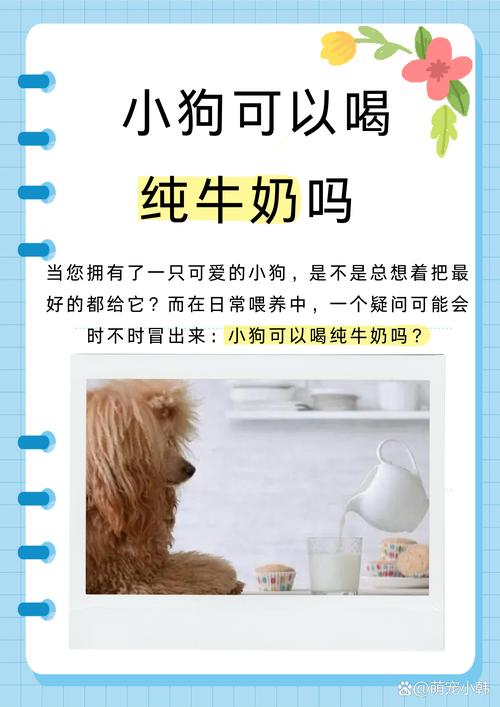 小狗狗能喝牛奶吗，小狗儿能不能喝牛奶？-第2张图片-后鲨宠物