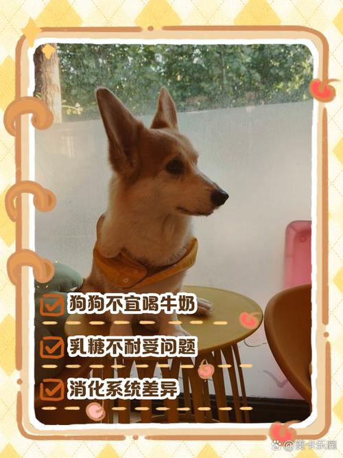 小狗狗能喝牛奶吗，小狗儿能不能喝牛奶？-第5张图片-后鲨宠物