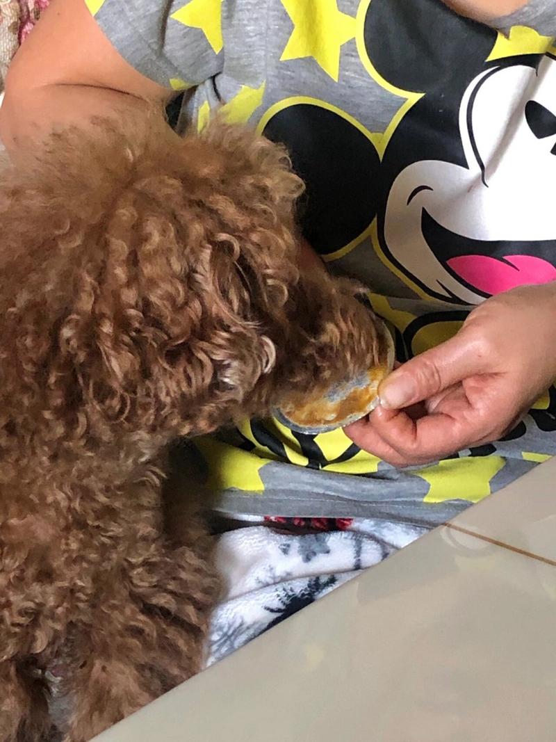 狗狗能吃芝麻酱吗_狗狗能吃芝麻酱吗有营养吗-第2张图片-后鲨宠物 狗狗能吃芝麻酱吗_狗狗能吃芝麻酱吗有营养吗-第2张图片-后鲨宠物