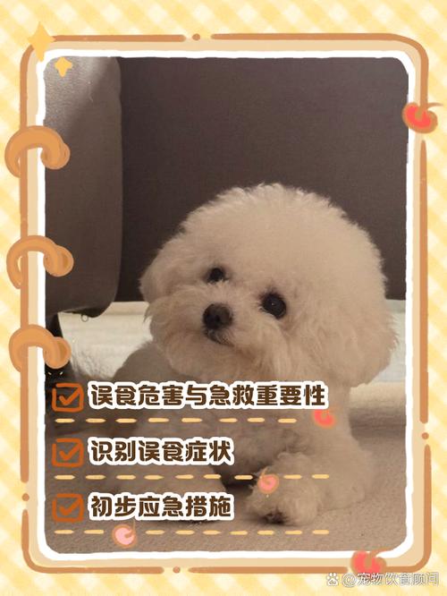 狗狗能吃芝麻酱吗_狗狗能吃芝麻酱吗有营养吗-第4张图片-后鲨宠物 狗狗能吃芝麻酱吗_狗狗能吃芝麻酱吗有营养吗-第4张图片-后鲨宠物