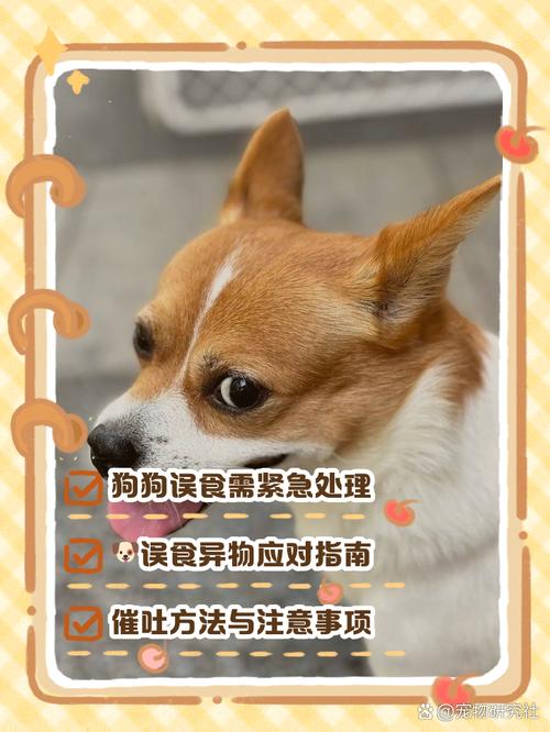 狗狗能吃芝麻酱吗_狗狗能吃芝麻酱吗有营养吗-第5张图片-后鲨宠物 狗狗能吃芝麻酱吗_狗狗能吃芝麻酱吗有营养吗-第5张图片-后鲨宠物