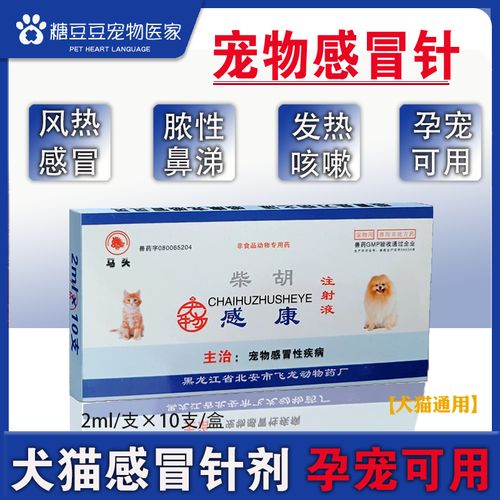 狗狗感冒怎么办最有效，狗狗感冒最简单的治疗方法？-第6张图片-后鲨宠物