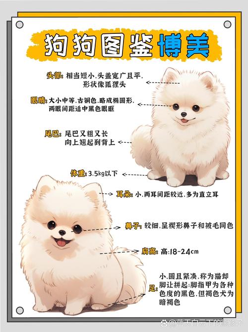  狗狗剪指甲多少钱，狗狗剪指甲要剪多少-第3张图片-后鲨宠物