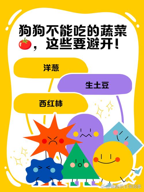 狗狗可以吃哪些蔬菜_狗狗可以吃哪些蔬菜简笔画-第1张图片-后鲨宠物 狗狗可以吃哪些蔬菜_狗狗可以吃哪些蔬菜简笔画-第1张图片-后鲨宠物