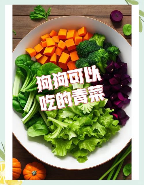 狗狗可以吃哪些蔬菜_狗狗可以吃哪些蔬菜简笔画-第2张图片-后鲨宠物 狗狗可以吃哪些蔬菜_狗狗可以吃哪些蔬菜简笔画-第2张图片-后鲨宠物