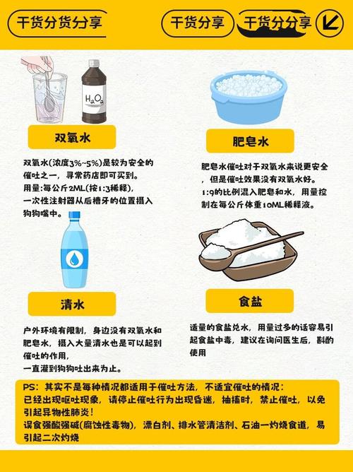 怎么让狗狗催吐_怎么给狗催吐还没副作用-第2张图片-后鲨宠物 怎么让狗狗催吐_怎么给狗催吐还没副作用-第2张图片-后鲨宠物