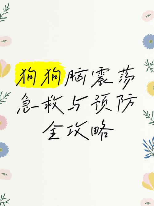 狗狗脑震荡怎么治疗_狗狗脑震荡治疗费用-第3张图片-后鲨宠物