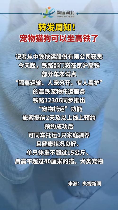  狗狗能坐高铁吗，狗狗怎么坐高铁