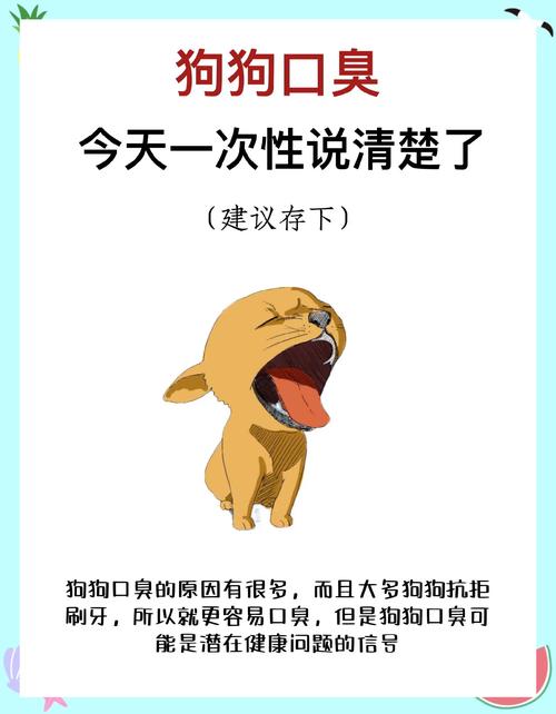 狗狗口臭怎么解决,狗狗口臭怎么办该怎样消除?-第6张图片-后鲨宠物 狗狗口臭怎么解决,狗狗口臭怎么办该怎样消除?-第6张图片-后鲨宠物