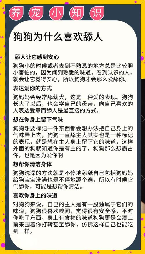 狗狗老是舔人怎么回事_狗狗老是舔人说明什么-第5张图片-后鲨宠物 狗狗老是舔人怎么回事_狗狗老是舔人说明什么-第5张图片-后鲨宠物