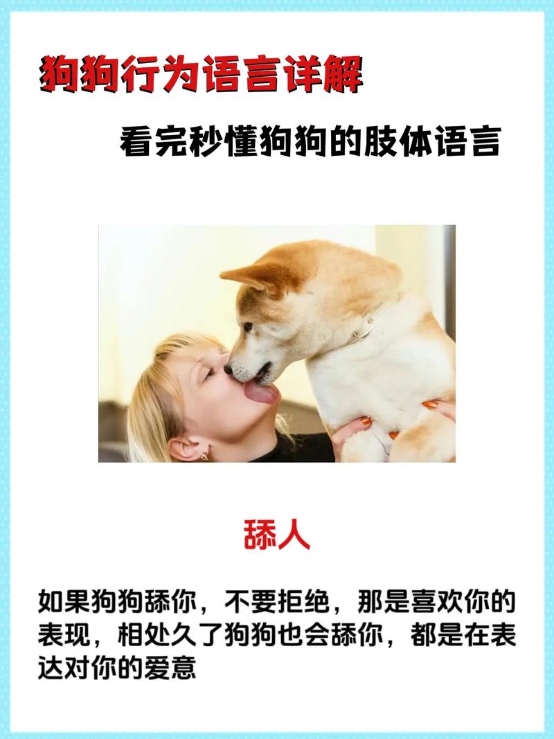 狗狗老是舔人怎么回事_狗狗老是舔人说明什么-第6张图片-后鲨宠物 狗狗老是舔人怎么回事_狗狗老是舔人说明什么-第6张图片-后鲨宠物