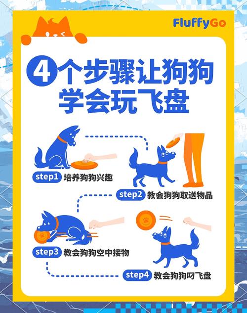 怎么训练狗狗玩飞盘,教狗狗玩飞盘-第3张图片-后鲨宠物 怎么训练狗狗玩飞盘,教狗狗玩飞盘-第3张图片-后鲨宠物