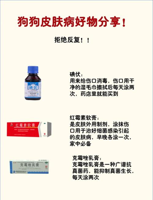 狗狗身上皮肤病怎么治,狗身上有皮肤病怎么治好得快-第2张图片-后鲨宠物 狗狗身上皮肤病怎么治,狗身上有皮肤病怎么治好得快-第2张图片-后鲨宠物