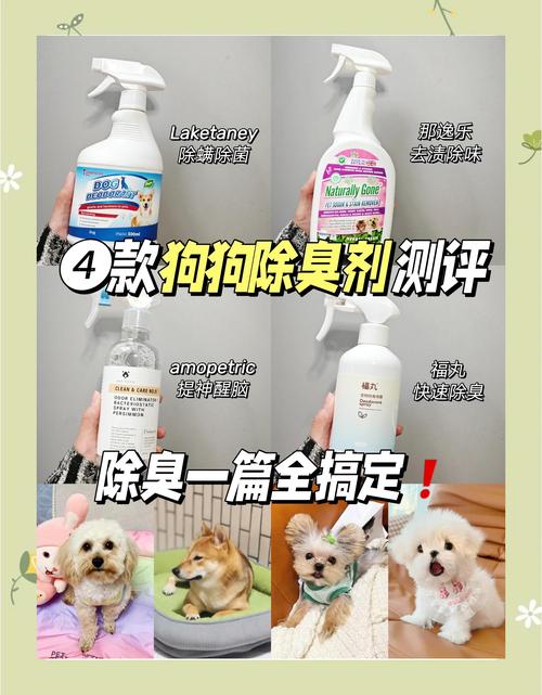 狗狗除味剂哪个牌子好_狗狗祛味剂哪个好-第2张图片-后鲨宠物 狗狗除味剂哪个牌子好_狗狗祛味剂哪个好-第2张图片-后鲨宠物